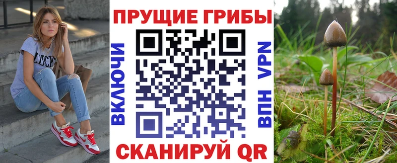 ссылка на мегу tor Луза Псилоцибиновые грибы мухоморы сколько стоит
